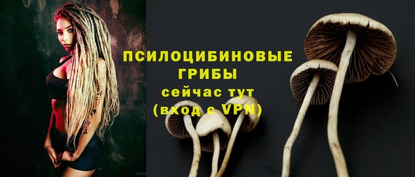 спиды Армянск