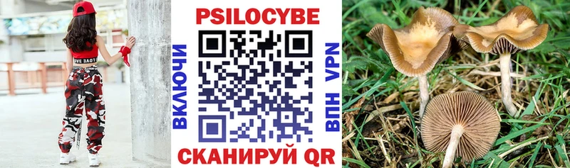 shop формула  Темников  Галлюциногенные грибы GOLDEN TEACHER  цены наркотик 